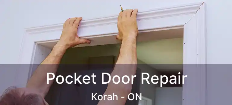 Pocket Door Repair Korah - ON