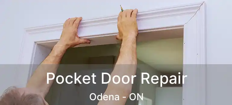 Pocket Door Repair Odena - ON