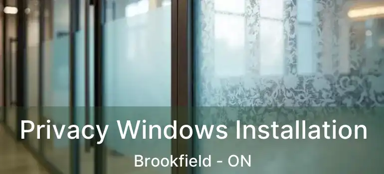 Privacy Windows Installation Brookfield - ON