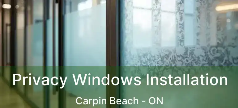 Privacy Windows Installation Carpin Beach - ON