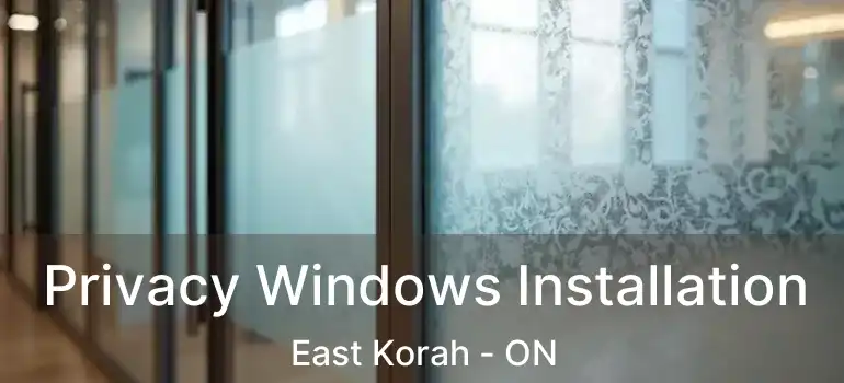 Privacy Windows Installation East Korah - ON