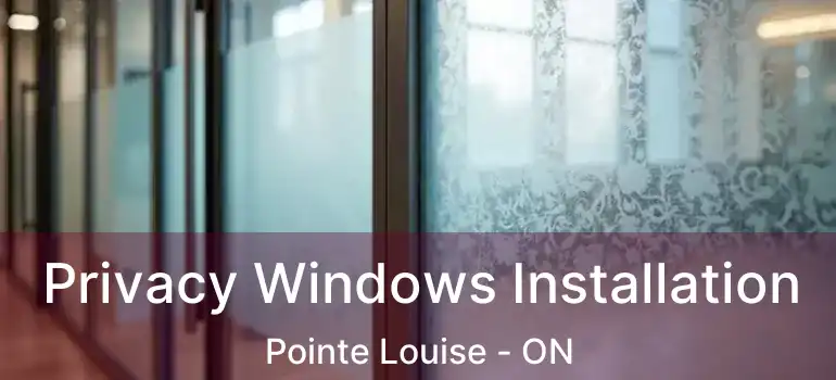 Privacy Windows Installation Pointe Louise - ON