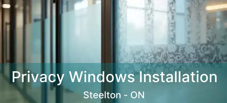 Privacy Windows Installation Steelton - ON