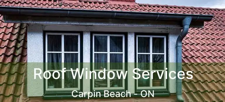 Roof Window Services Carpin Beach - ON