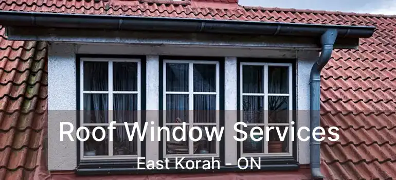 Roof Window Services East Korah - ON