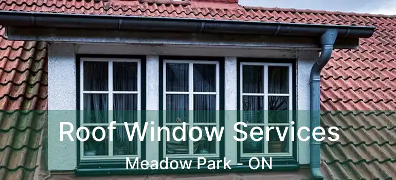 Roof Window Services Meadow Park - ON