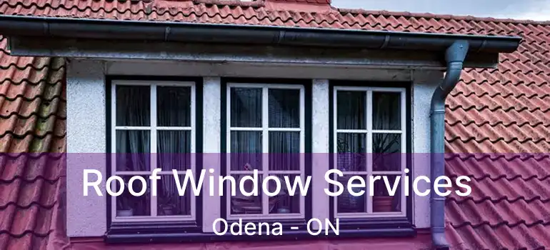 Roof Window Services Odena - ON