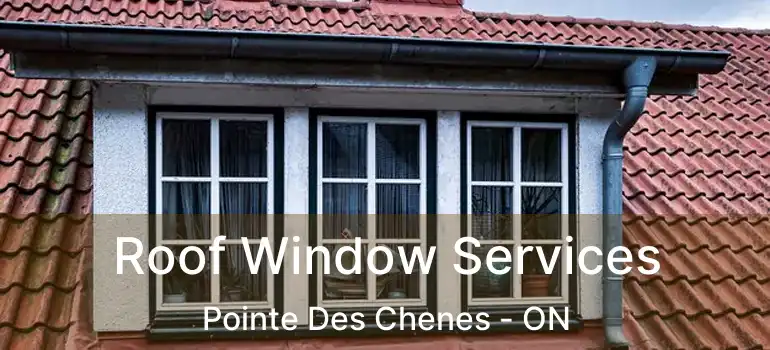 Roof Window Services Pointe Des Chenes - ON