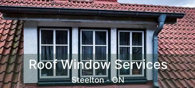 Roof Window Services Steelton - ON