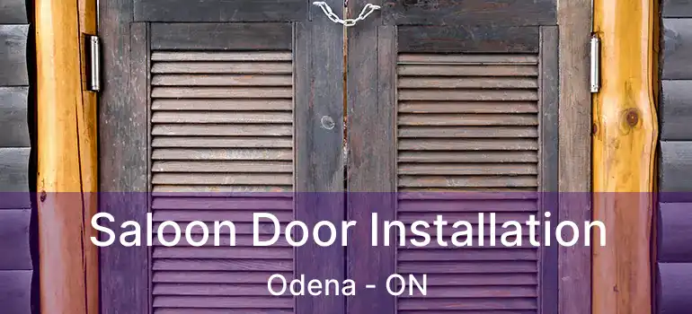Saloon Door Installation Odena - ON