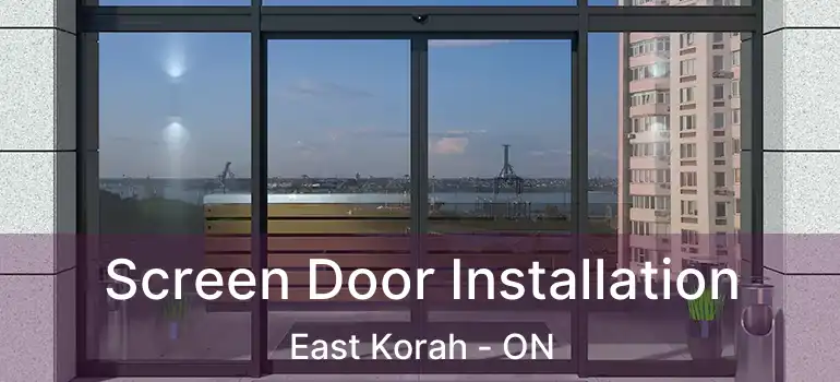 Screen Door Installation East Korah - ON
