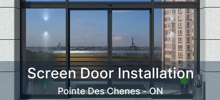 Screen Door Installation Pointe Des Chenes - ON