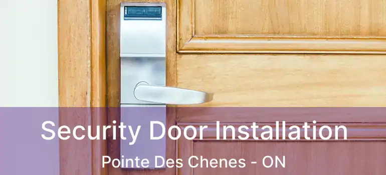 Security Door Installation Pointe Des Chenes - ON