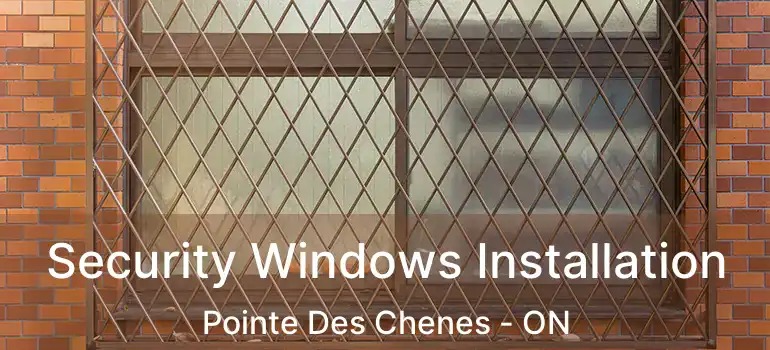 Security Windows Installation Pointe Des Chenes - ON