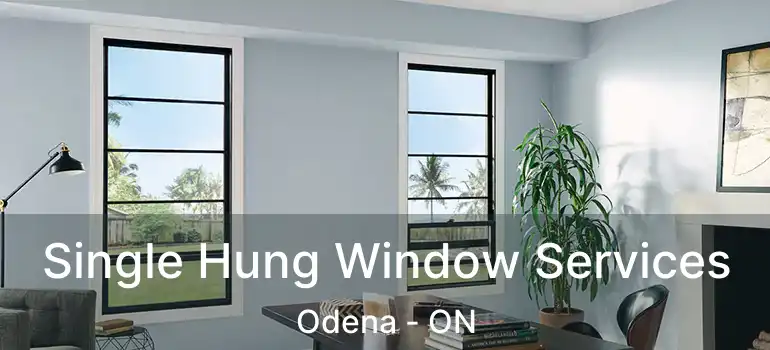 Single Hung Window Services Odena - ON