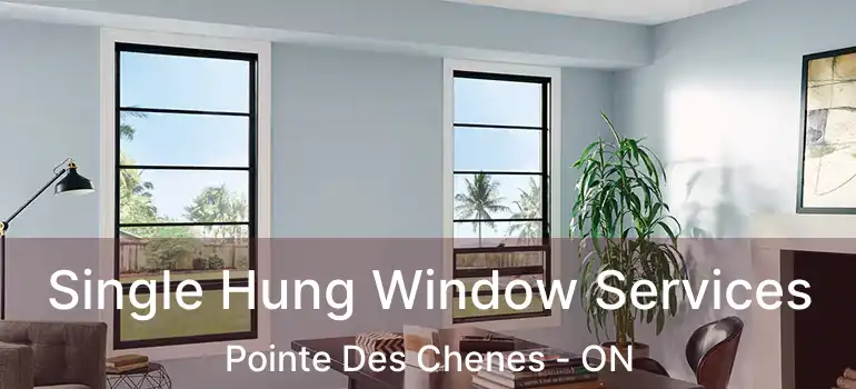 Single Hung Window Services Pointe Des Chenes - ON