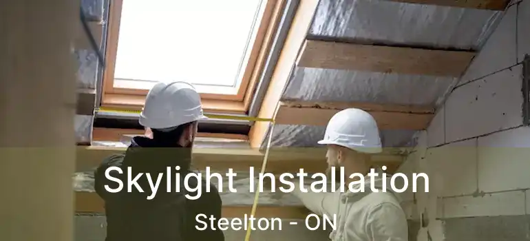  Skylight Installation Steelton - ON