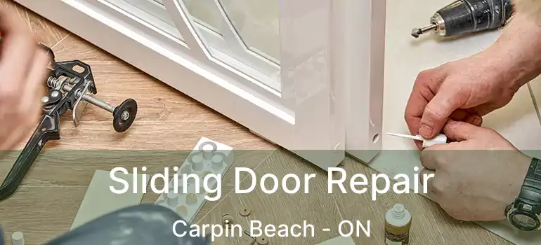 Sliding Door Repair Carpin Beach - ON
