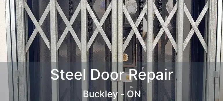 Steel Door Repair Buckley - ON