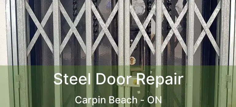 Steel Door Repair Carpin Beach - ON