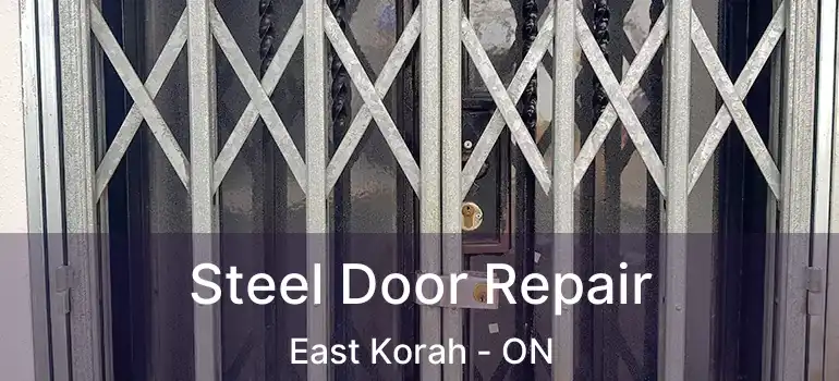 Steel Door Repair East Korah - ON