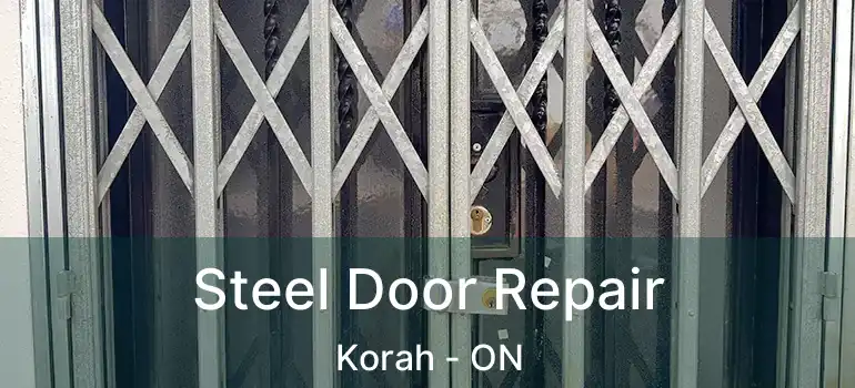 Steel Door Repair Korah - ON