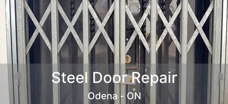 Steel Door Repair Odena - ON