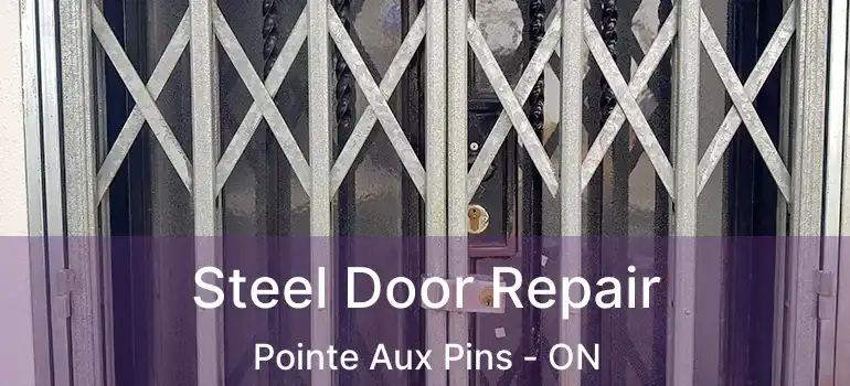 Steel Door Repair Pointe Aux Pins - ON