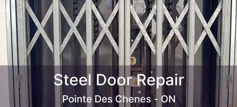 Steel Door Repair Pointe Des Chenes - ON