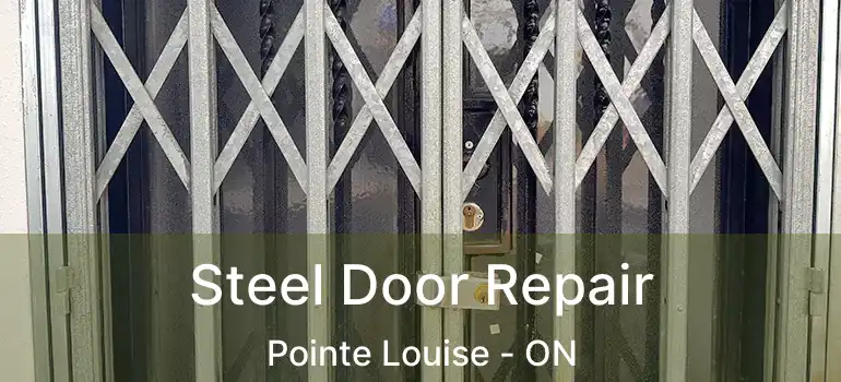 Steel Door Repair Pointe Louise - ON