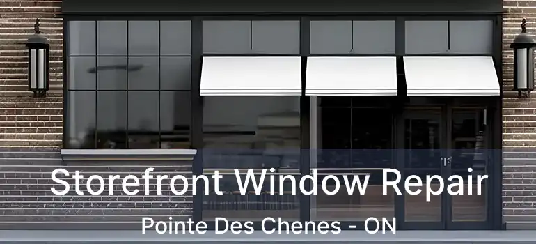 Storefront Window Repair Pointe Des Chenes - ON
