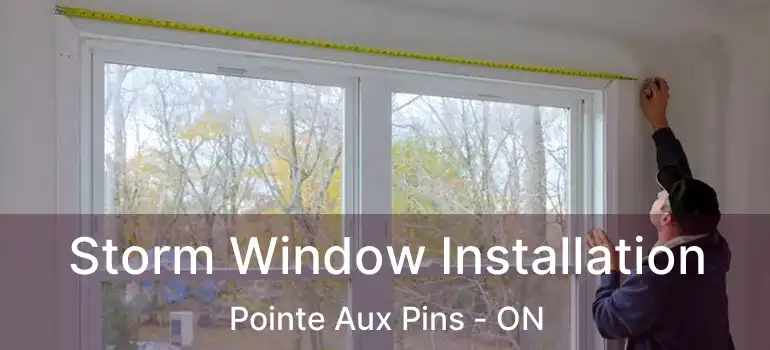 Storm Window Installation Pointe Aux Pins - ON