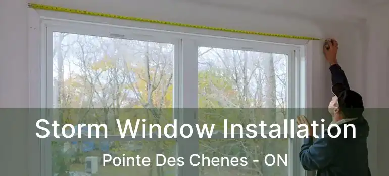 Storm Window Installation Pointe Des Chenes - ON