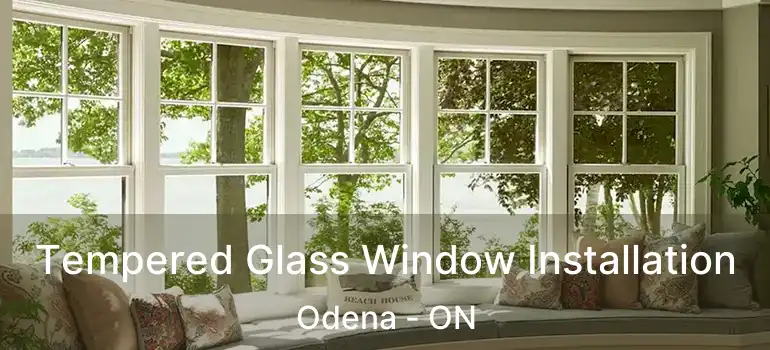 Tempered Glass Window Installation Odena - ON