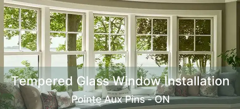 Tempered Glass Window Installation Pointe Aux Pins - ON