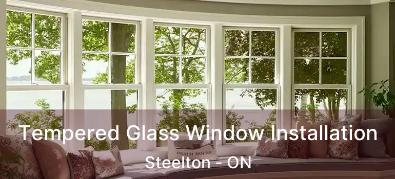 Tempered Glass Window Installation Steelton - ON