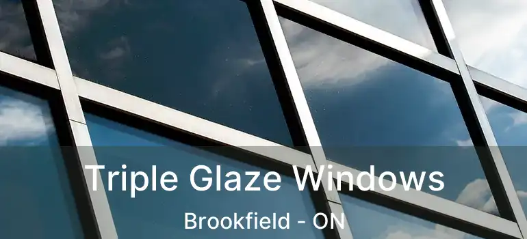 Triple Glaze Windows Brookfield - ON
