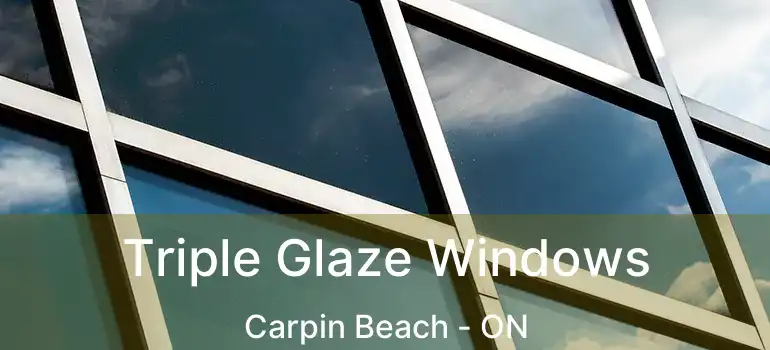 Triple Glaze Windows Carpin Beach - ON