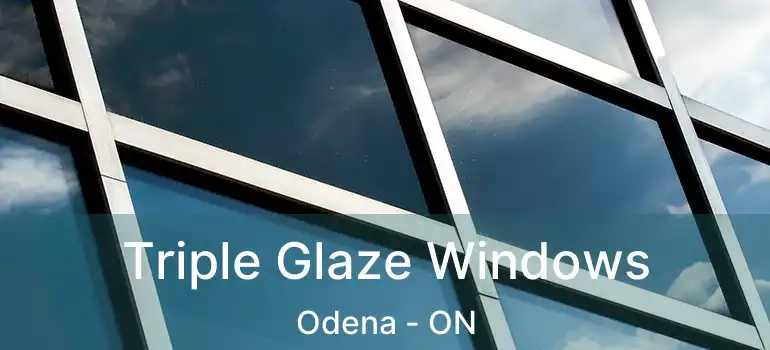 Triple Glaze Windows Odena - ON