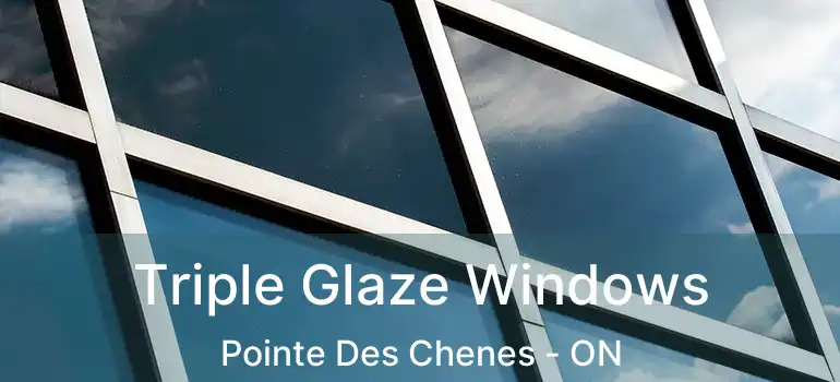 Triple Glaze Windows Pointe Des Chenes - ON