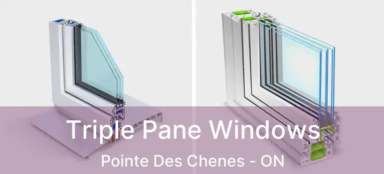 Triple Pane Windows Pointe Des Chenes - ON