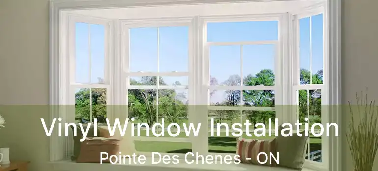 Vinyl Window Installation Pointe Des Chenes - ON