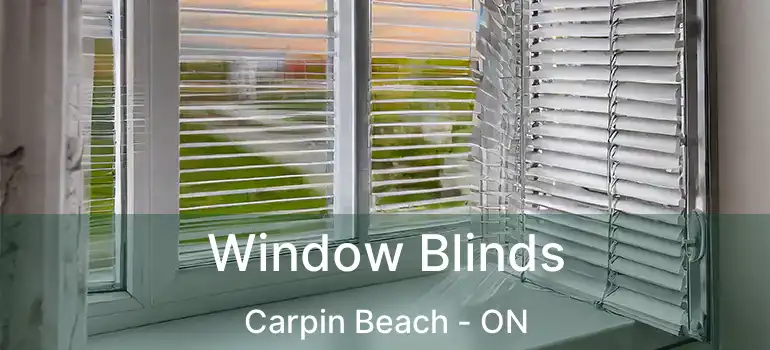 Window Blinds Carpin Beach - ON