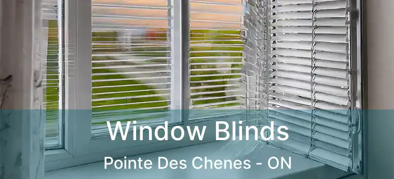 Window Blinds Pointe Des Chenes - ON