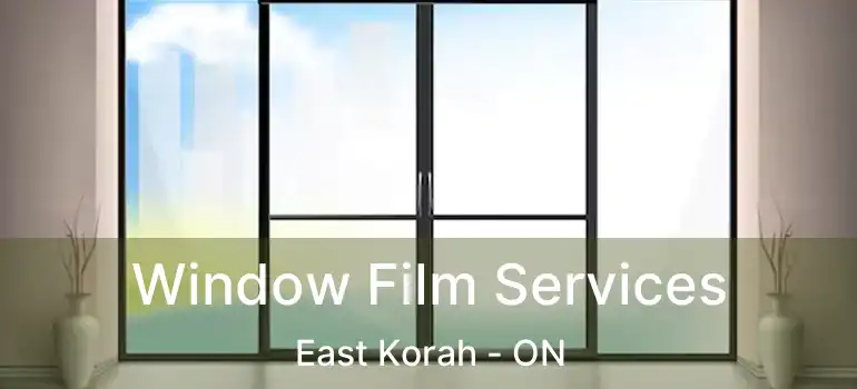 Window Film Services East Korah - ON