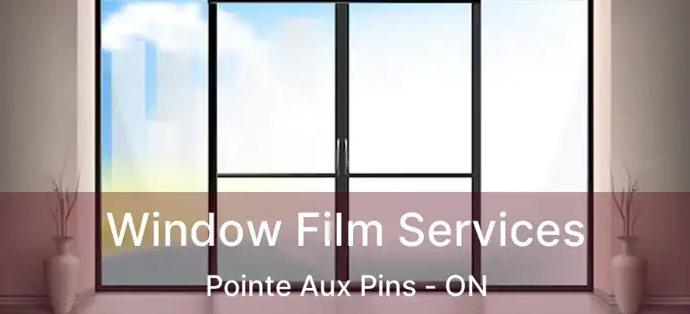 Window Film Services Pointe Aux Pins - ON