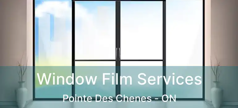 Window Film Services Pointe Des Chenes - ON