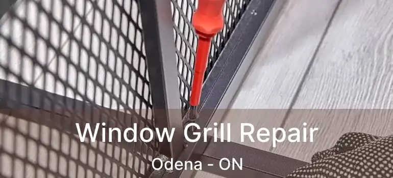 Window Grill Repair Odena - ON