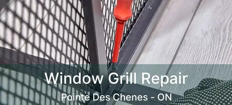 Window Grill Repair Pointe Des Chenes - ON