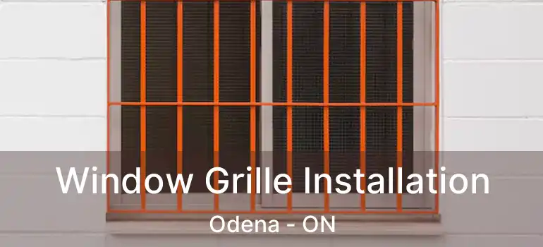 Window Grille Installation Odena - ON